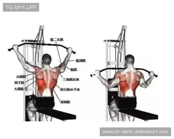 哪些健身器材适合锻炼背部肌肉?科学训练方案解析 哪些健身器材适合锻炼背部肌肉?科学训练方案解析